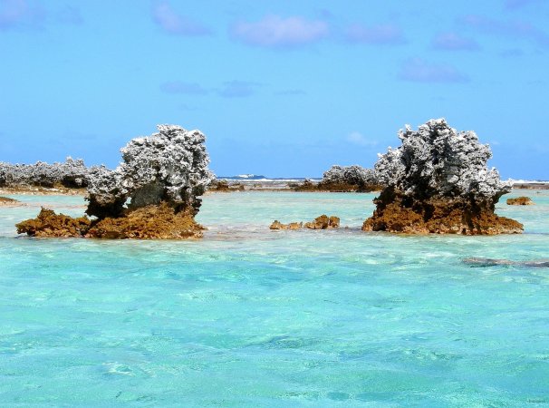 79- Les recifs a maree basse 